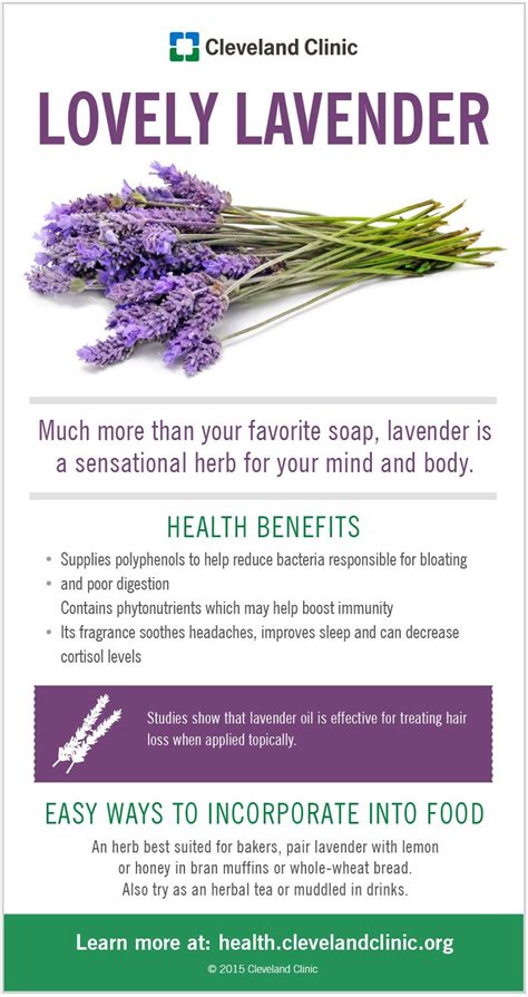 Lavender Infused Goodness: Discovering the Magic in Beauty Products
